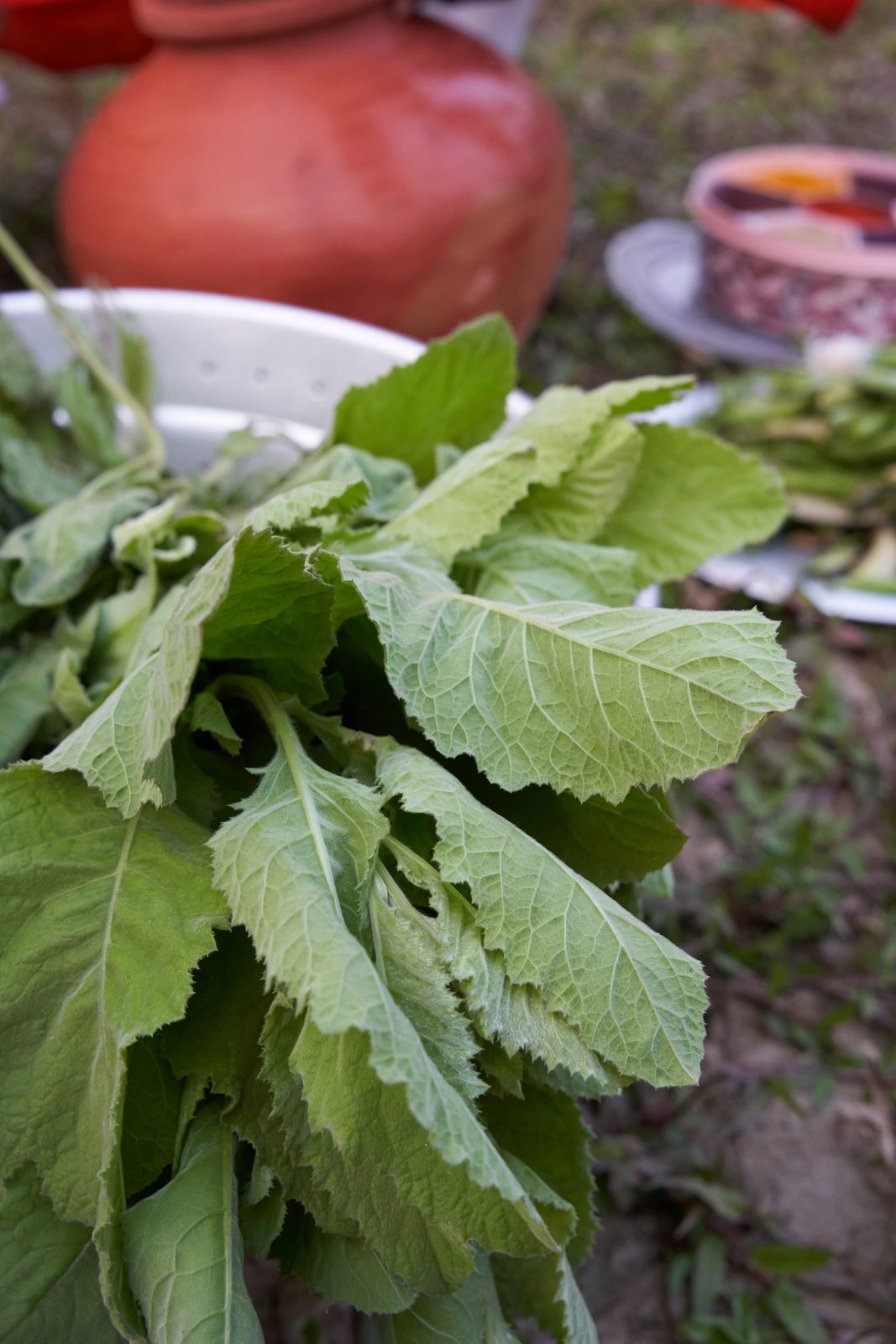 Traditional Konkani Popti 4