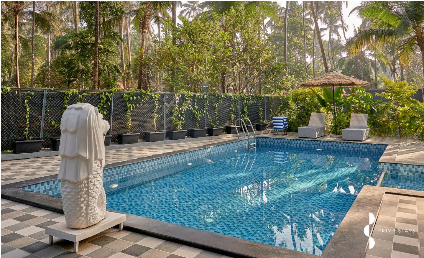 Emmy's Cove Villa 5